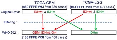 Prognostic stratification of glioblastoma patients by unsupervised clustering of morphology patterns on whole slide images furthering our disease understanding